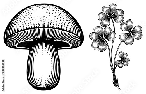 Classic engraved mushroom cap and clover sprig, botanical illustration, hand drawn vector, nature study, black and white, rustic design.