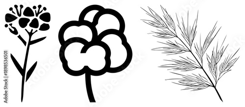 Vector featuring abstract flower, cotton bud, and grass stem, minimalist black, graphic design elements, nature motifs, clean, decorative.