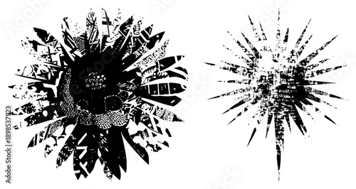 Graphic design featuring stylized sunflower like burst with intricate, paired with a starburst, both in, ideal for print or digital art.