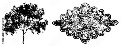 Intricate lace like mandala, symmetrical ornamental design, tree silhouette with dense foliage, black and white vector art, decorative motifs.