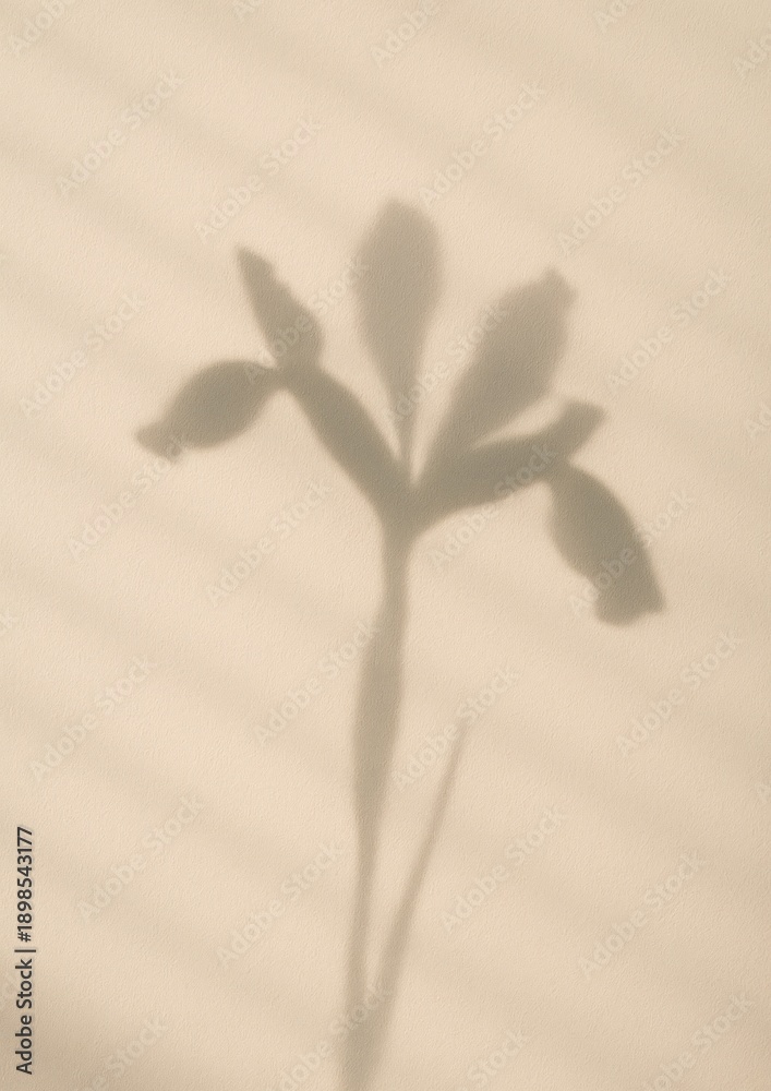 Naklejka premium Minimalist floral shadow elegance.