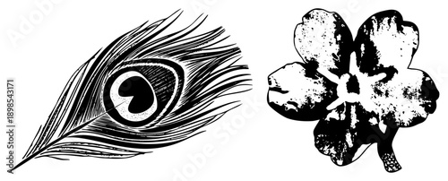 Intricate feather with eye, stylized flower with distressed texture, black and white vector art, ornamental design elements, graphic motifs.