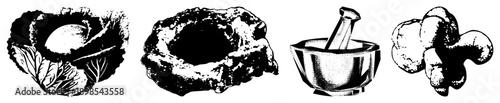 Cabbage, stone mortar, metal pestle, ginger root kitchen staples rendered in halftone style, isolated vector graphics for design use.