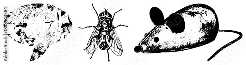 Black and white halftone graphic of brain, fly, and mouse, scientific illustration, biological symbols, medical, research.