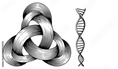 Intricate knot symbol with interwoven loops, DNA helix strand, scientific illustration, genetic code, molecular biology, black and white vector art.