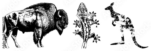 Wildlife trio rendered in detailed art bison with shaggy coat, gecko clinging to foliage, kangaroo in stance. Animal illustrations, nature sketches, fauna vector.