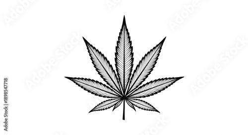 Cannabis Leaf Illustration Simple Line Art.