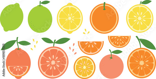Citrus Fruit Illustration Set Featuring Lemon Lime Orange and Grapefruit Whole and Sliced Pieces for Fresh Healthy Nutrition Organic Food Designs