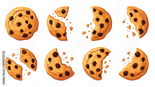 Assorted delicious chocolate chip cookies in various stages of being eaten, from whole to broken pieces and crumbs, in a food collection set.