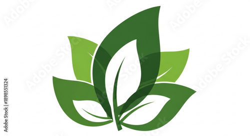 Vibrant green leaves symbolizing growth and harmony with nature