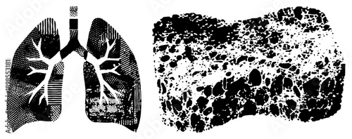 Vector illustration of human respiratory system, lung lobes, bronchial branching, alveolar tissue, medical diagram, black and white halftone style.