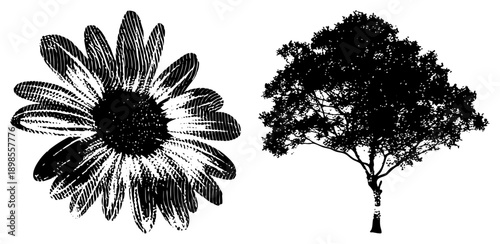 Stylized sunflower with halftone shading, tree silhouette with detailed branches, vector art, graphic design elements, illustration.