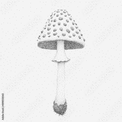 Botanical mushroom illustration with stipple texture, faint ink wash, uneven edges, scattered grit, grainy noise and subtle paper creases in vintage tone.