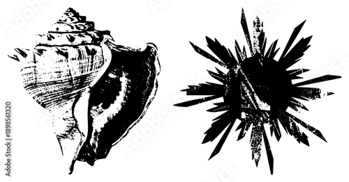 Stylized sea with textured ridges and starfish with arms, halftone vector art, marine life, oceanic motifs, black and white graphic design.