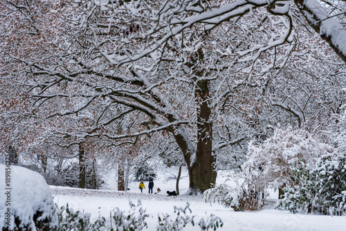 Spaziergänger im winterlich eingeschneiten Düsternbrooker Gehölz im Dezember in Kiel