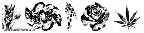 Stylized botanical designs including rose, leaf, and abstract blooms, rendered in halftone vector art, ideal for graphic design, tattoos, or print.