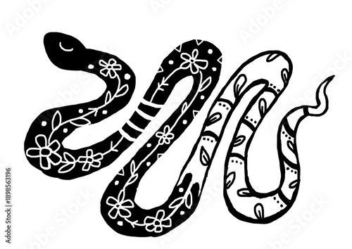 Fotografija black and white decorative snake illustration with ornamental pattern design she
