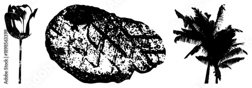 Stylized illustrations of a tulip, textured rock, and palm tree, rendered as isolated cutouts with halftone grain, ideal for graphic design or print.