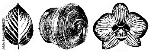 Hand drawn botanical illustrations in woodcut style, featuring leaf veins, textured hay bale, and detailed orchid petals, vector art.
