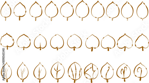 A collection of 36 teardrop shaped leaf illustrations in various line art styles
