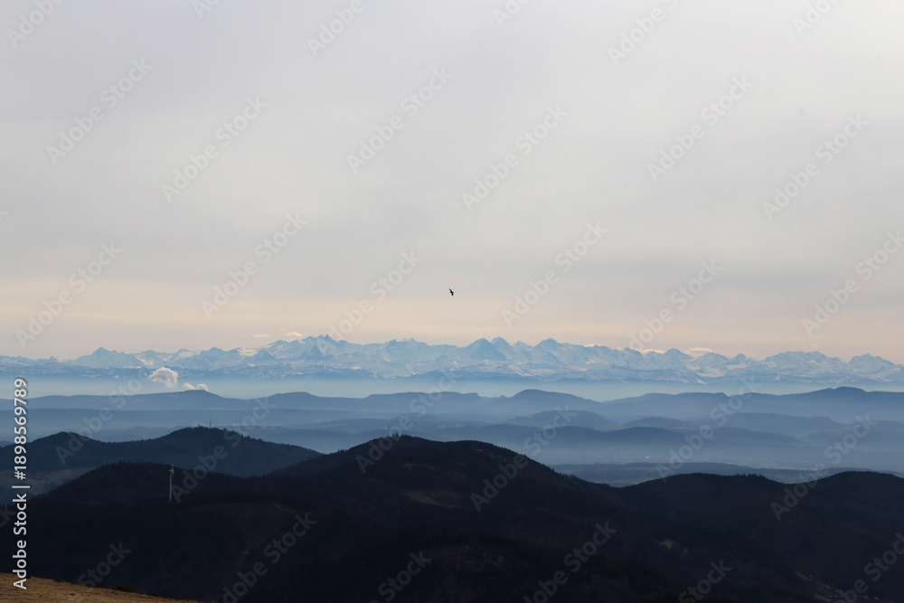 Fototapeta premium Blick vom Belchen im Schwarzwald auf die Alpen im Winter