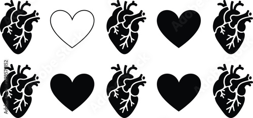 Human heart anatomy and love heart icon set black and white medical romance vector silhouettes isolated illustration