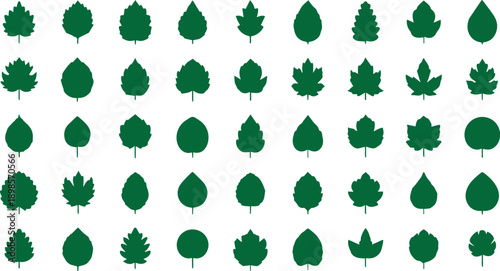 Collection of various green leaf shapes and sizes