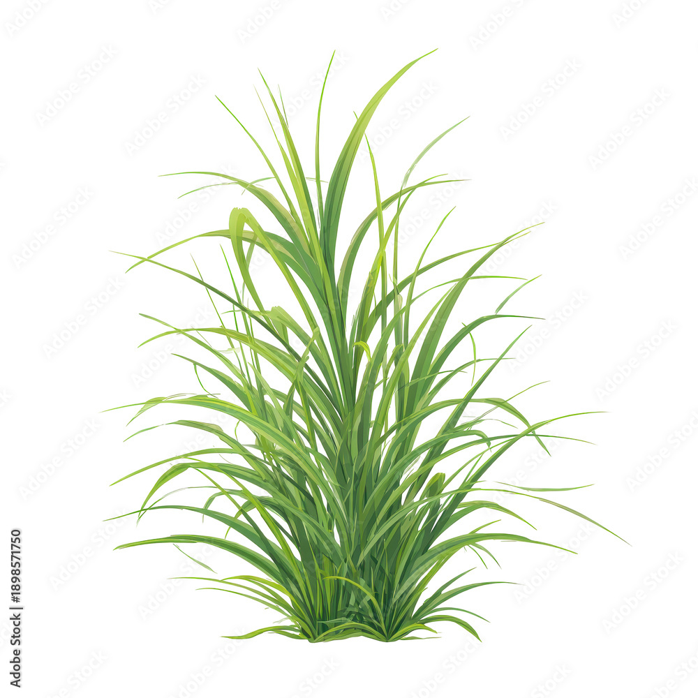 Fototapeta premium Fresh Green Grass with Lush, Vibrant Texture, Perfect for Nature and Landscape Designs ,isolated on transparent background