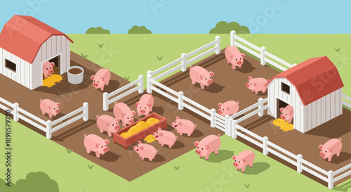 Cute cartoon pigs in a farmyard setting with barns and fences.