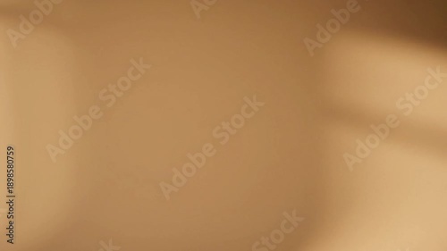 Warm golden hour sunlight casting soft abstract shadows across a neutral beige wall creating a