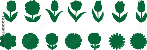 Variety of green plant leaves and stems illustrations