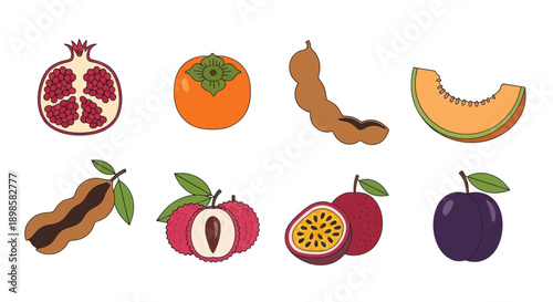Variety of fresh fruit illustrations