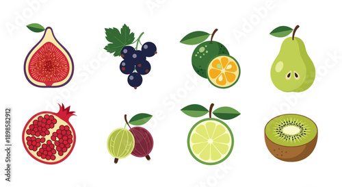 Variety of fresh fruits collection