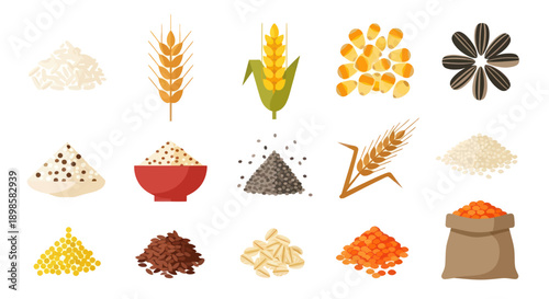 Variety of grains and seeds illustration