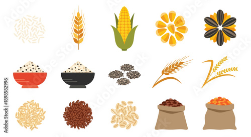 Variety of grains and seeds illustrations