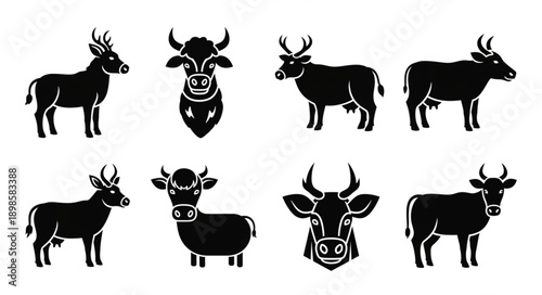 Collection of Black Silhouettes of Cows and Bulls.