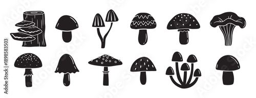 mushrooms silhouette monochrome with patterns illustration set. Trendy mushroom creative fabulous mystic folklore collection
