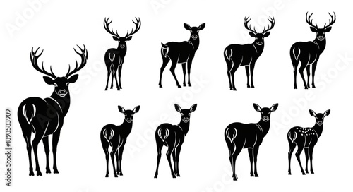 Collection of Black Silhouette Deer Icons and Illustrations.