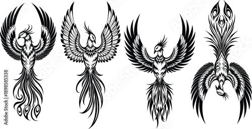 Phoenix bird silhouette collection, mythical firebird tribal designs, black vector illustration set, fantasy wings artwork isolated on white background for tattoo and logo use