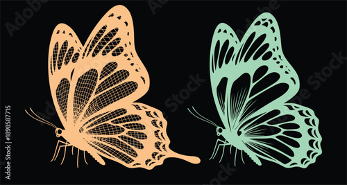 Detailed black and white sketch of two monarch butterfly wings facing left