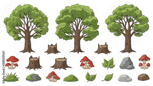 Diverse set of forest elements including deciduous trees, tree stumps, mushrooms, rocks, and green leaves isolated on a plain white background.