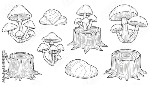 Variety of forest themed elements including different mushroom species, tree stumps, and rocks shown in a detailed black and white line art.