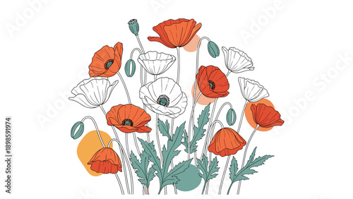 Beautiful artistic bouquet of red and white poppy flowers with green leaves and buds in a vintage style with colorful shapes.