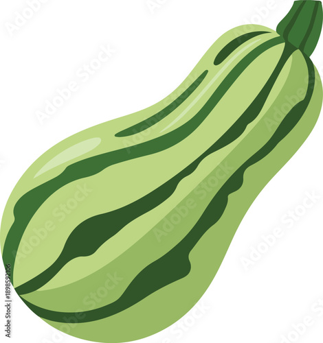 Green Zucchini Isolated on White Background