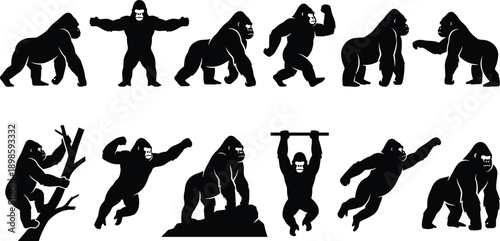 WebSet of black gorilla silhouettes featuring various powerful poses like standing, walking, climbing, and hanging isolated on white background for wildlife and strength concept designs.