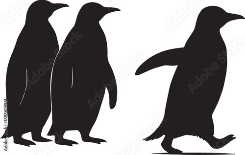 A penguin walk alone from others  in black and white silhouette with transparent background 