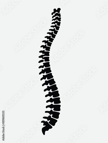 A black silhouette of a human spine showing the natural curvature of the vertebral column against a white background.