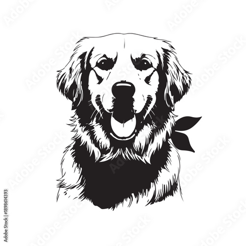 Golden Retriever Dog Head Illustration