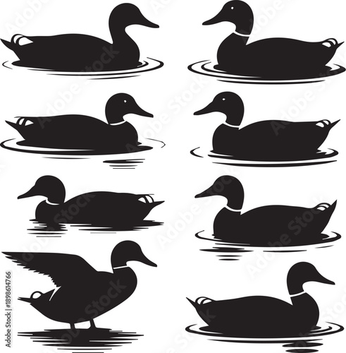 Set of seven duck silhouettes on water with ripples showing diverse postures and wing movements