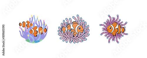Clownfish Anemone Reef Creature Art